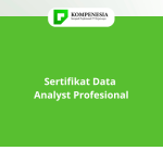 Sertifikat Data Analyst Profesional